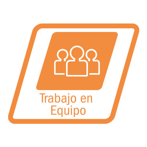 Trabajo en equipo TIP